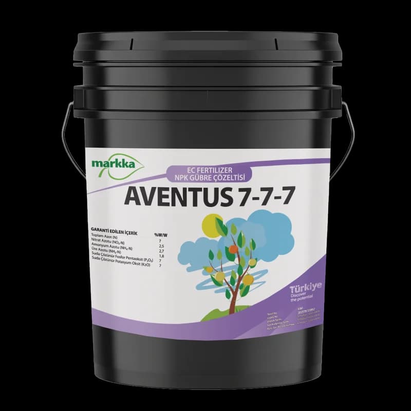 Aventus 7-7-7