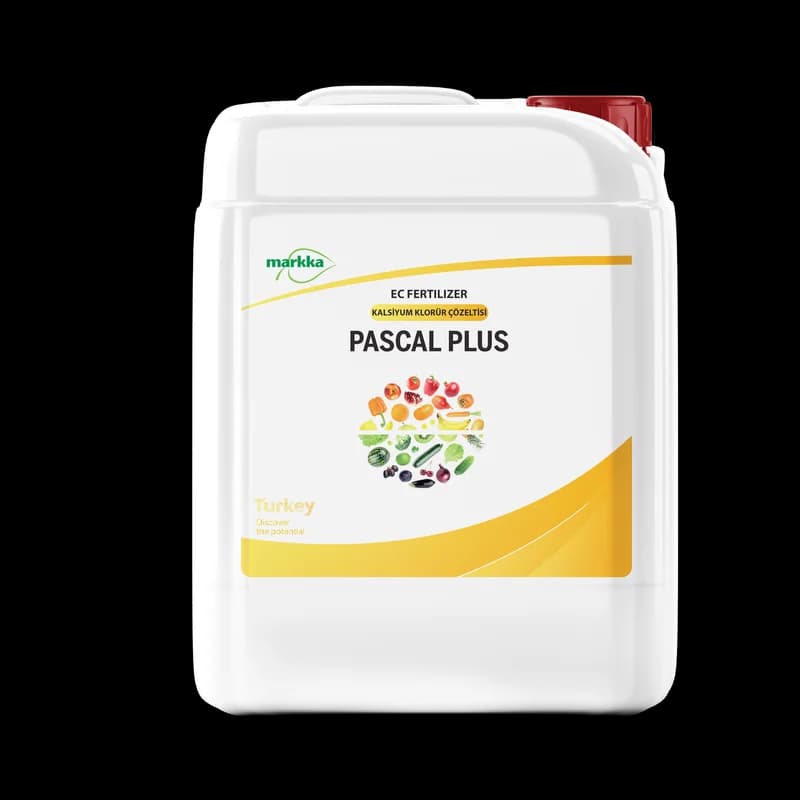 Pascal Plus