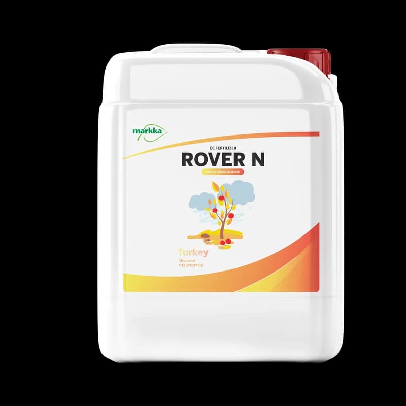 Rover N