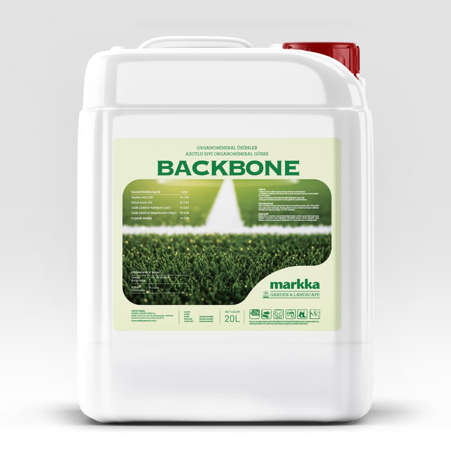 Backbone